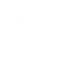 FireStick